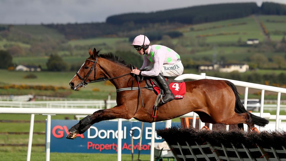 Faugheen's victory lit up the Punchestown Festival