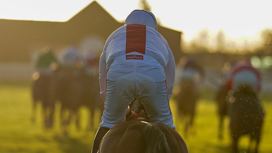 Goshen trails home in the Unibet International Hurdle