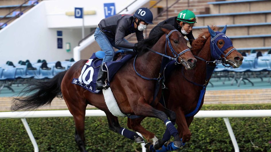 Schnell Meister (left) in action at the track