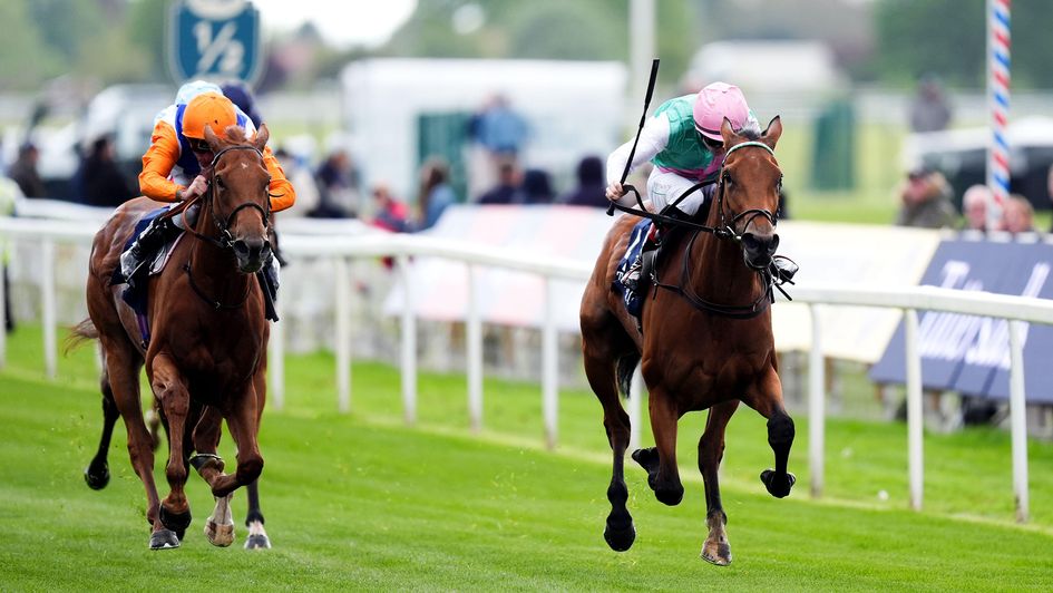Legacy Link (right) beats Felicitas at York