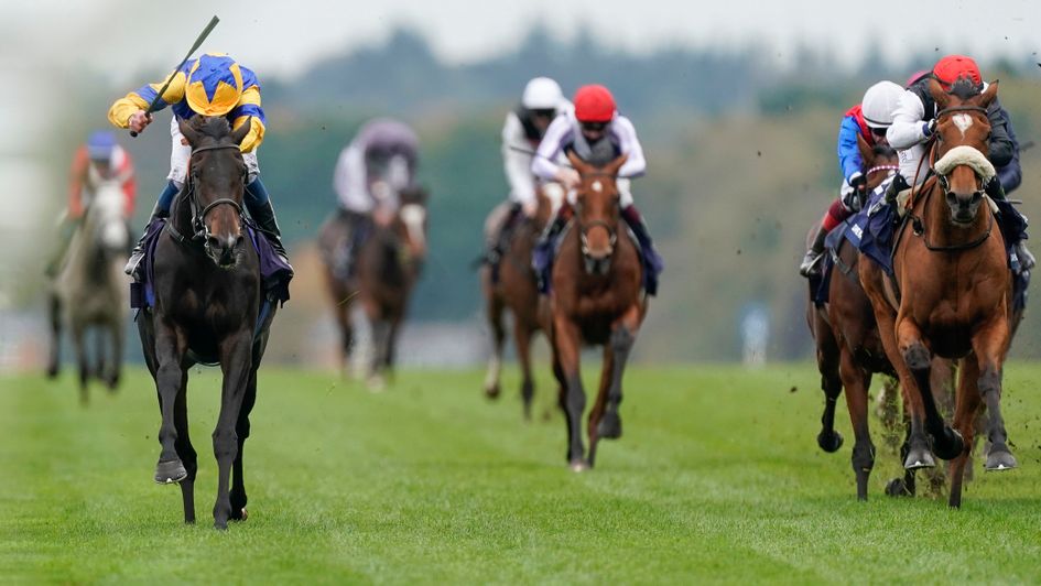 Wonderful Tonight (left) will be ridden by Olivier Peslier in the Arc