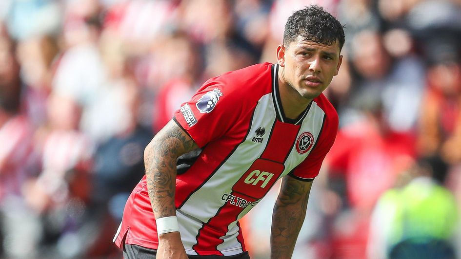 Sheffield United's all-action man Gustavo Hamer