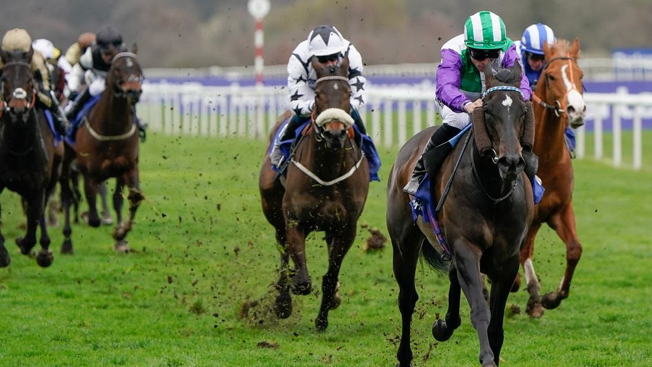 Vadream routs her rivals in the Cammidge Trophy