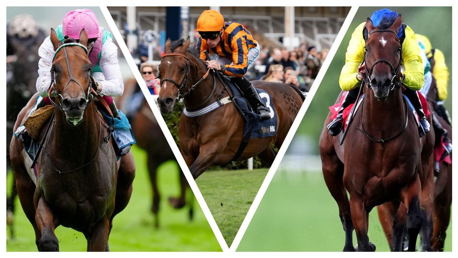 Windlord, Dancing Gemini and Almaqam race at Sandown on Friday