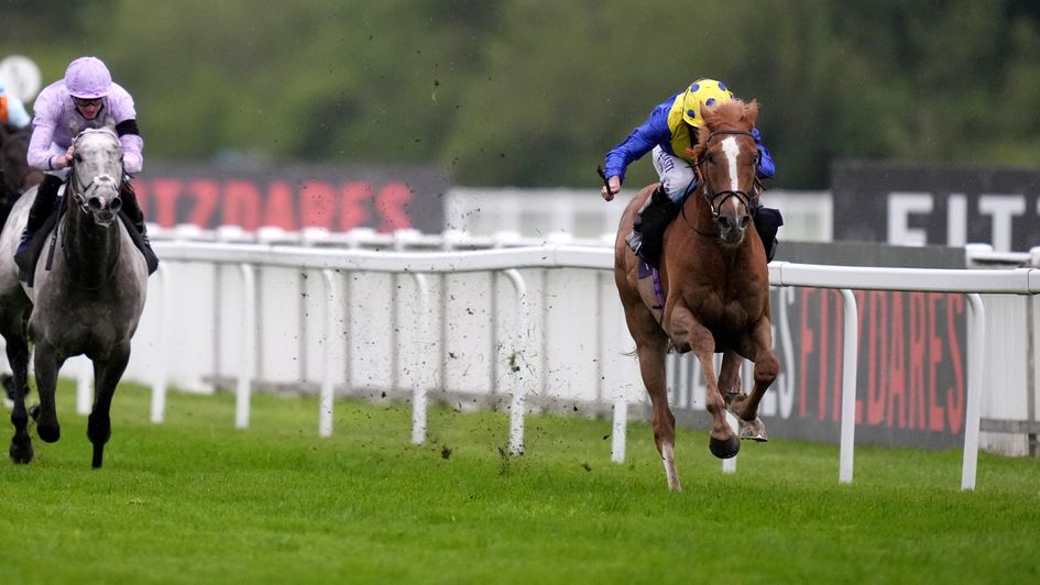 Monday Racing News Windsor Abandoned