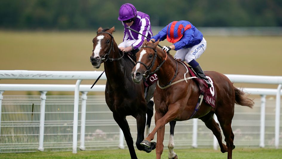 Nayef Road wins from Constantinople