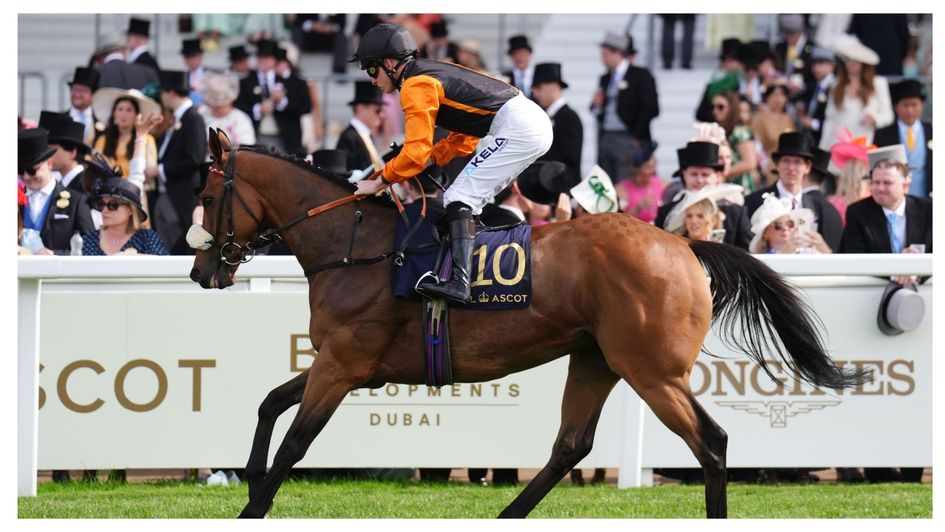 Royal Zabeel