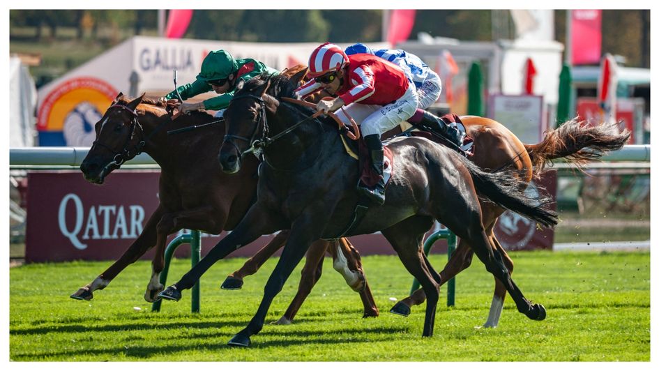 Wimbledon Hawkeye lands the Prix Dollar