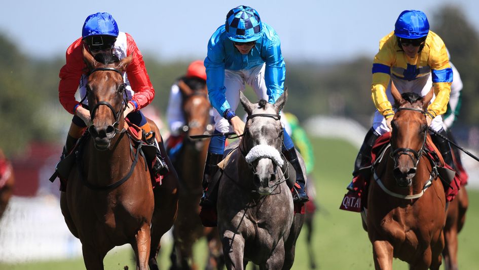 Pilaster (left) beats Maid Up and Star Rock in the Lillie Langtry