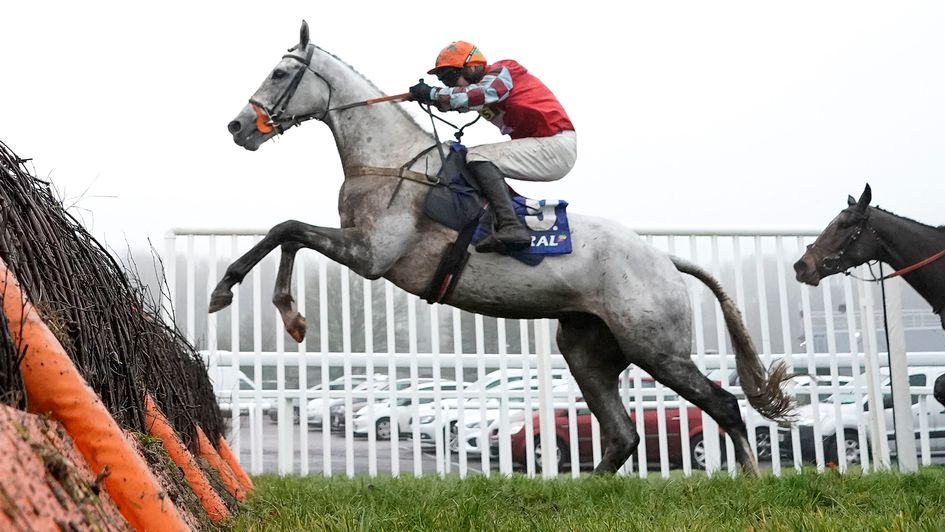 Eva's Oskar - Doncaster or Haydock next