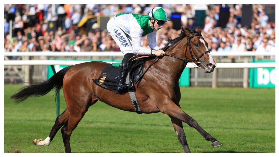 Al Samsama wins under Billy Loughnane