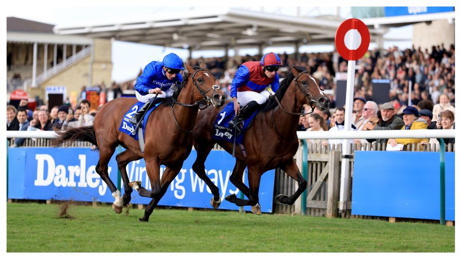 Darkness Falls (right) fends off Desert Castle in the Dewhurst