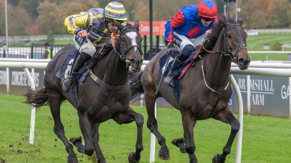 La Conquiere (left) quickened up well to win on her hurdling debut
