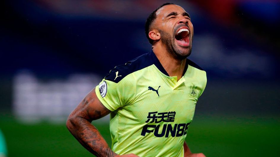 Callum Wilson celebrates his goal