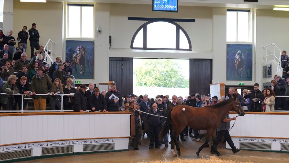 Tattersalls - cancelled March Sales
