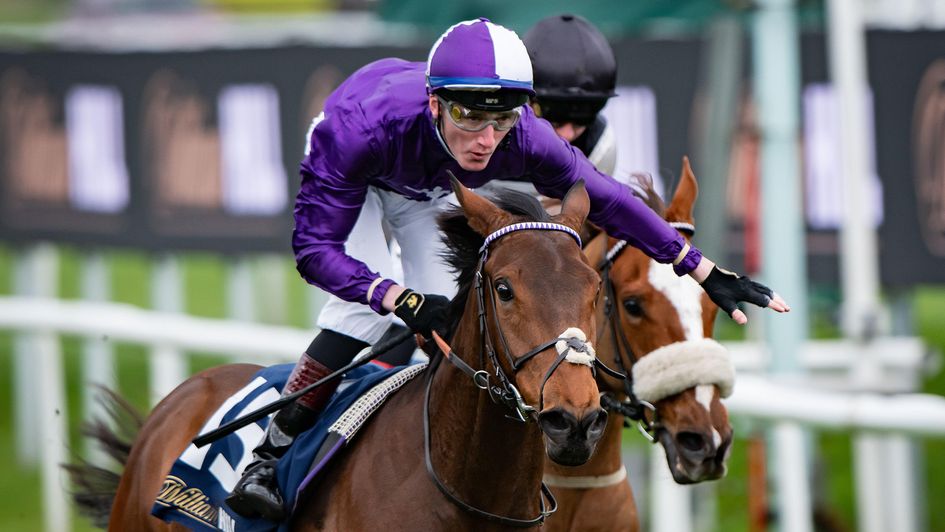 David Egan celebrates