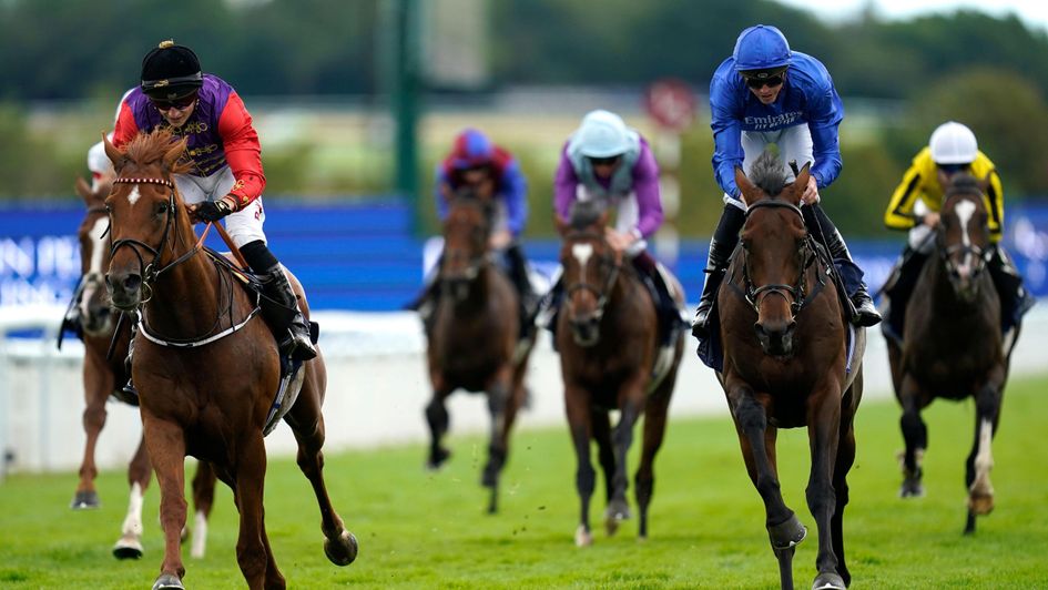 Desert Hero masters Chesspiece to win the Gordon Stakes