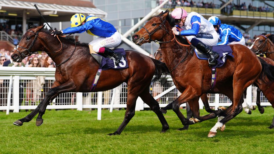 Point Of Contact scores under Oisin Murphy