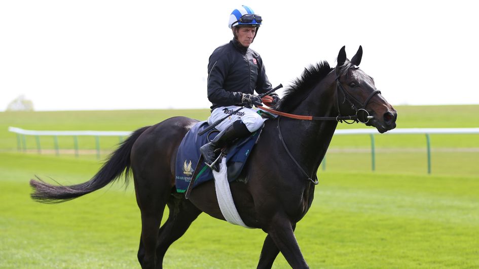 Elarqam limbered up in a racecourse gallop at HQ