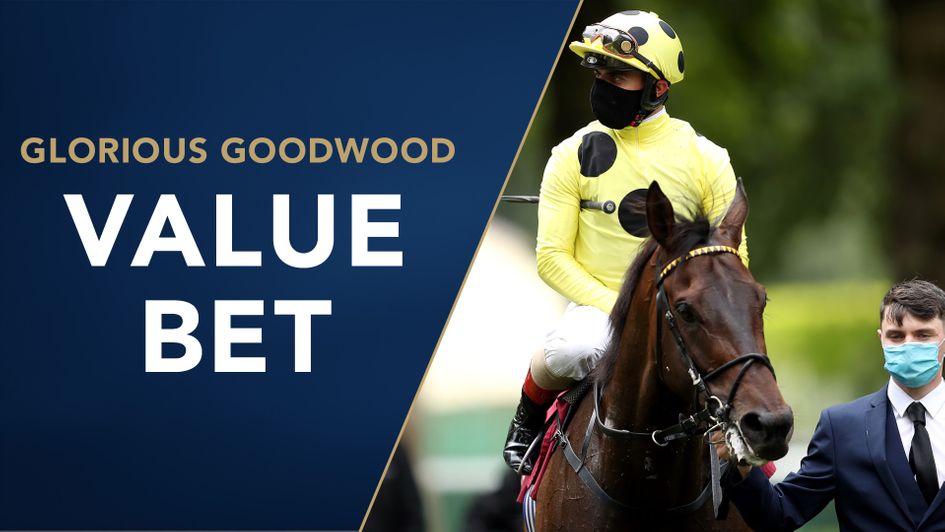 Without A Fight is backed on Friday