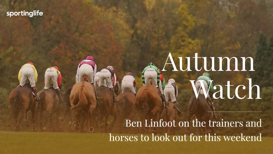 Ben Linfoot looks at which Flat trainers usually thrive at the end of the year