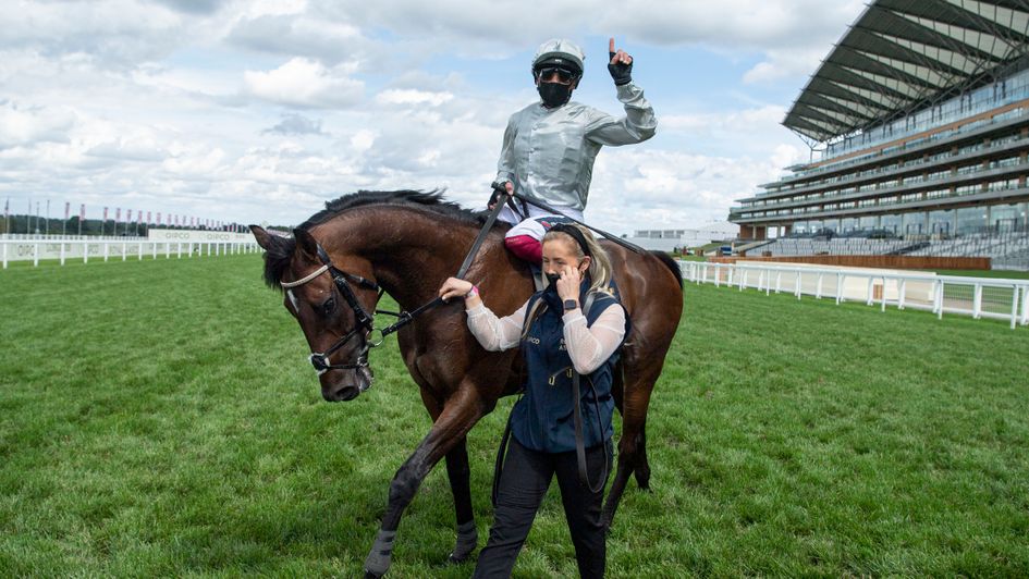 Palace Pier - rated 131 after St James's Palace Stakes win