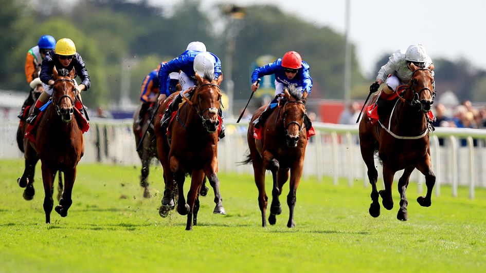 Crystal Ocean (yellow cap)