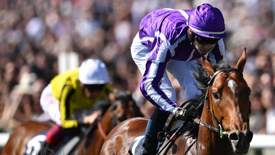 Saxon Warrior slams his Newmarket rivals