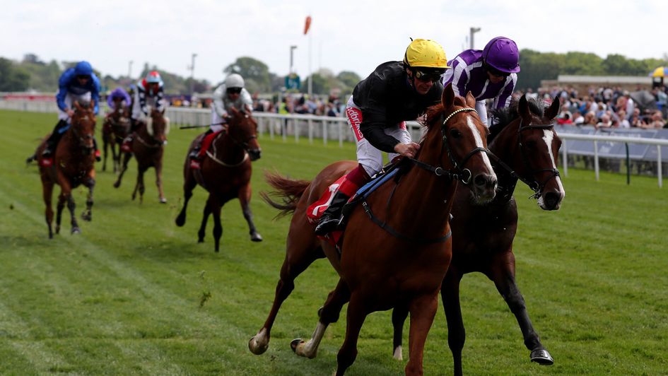 Stradivarius wears down Southern France to win the Yorkshire Cup