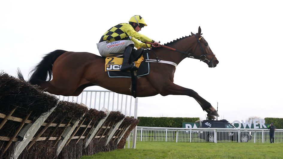 Sir Gino in full flight at Cheltenham
