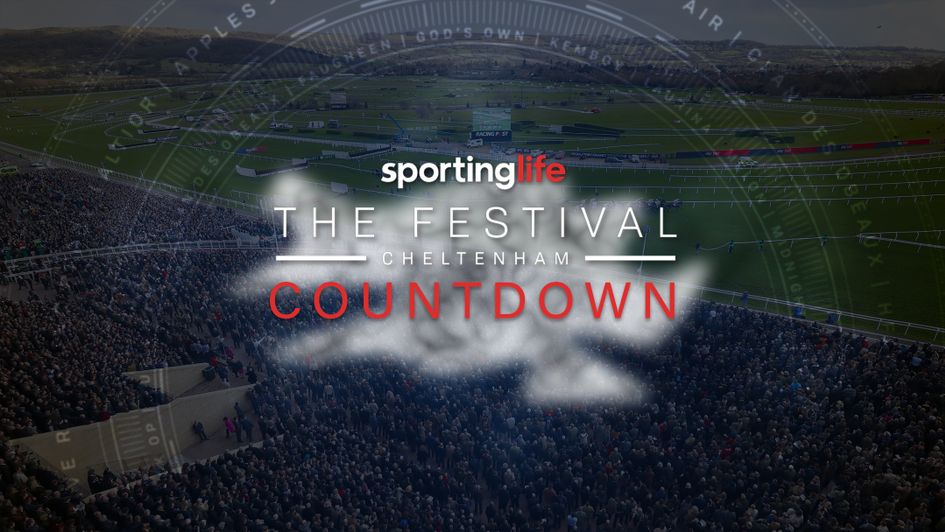 The countdown to Cheltenham continues