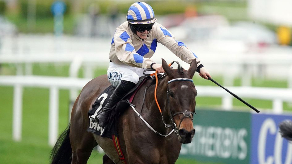 Captain Guinness comes home in front at Cheltenham