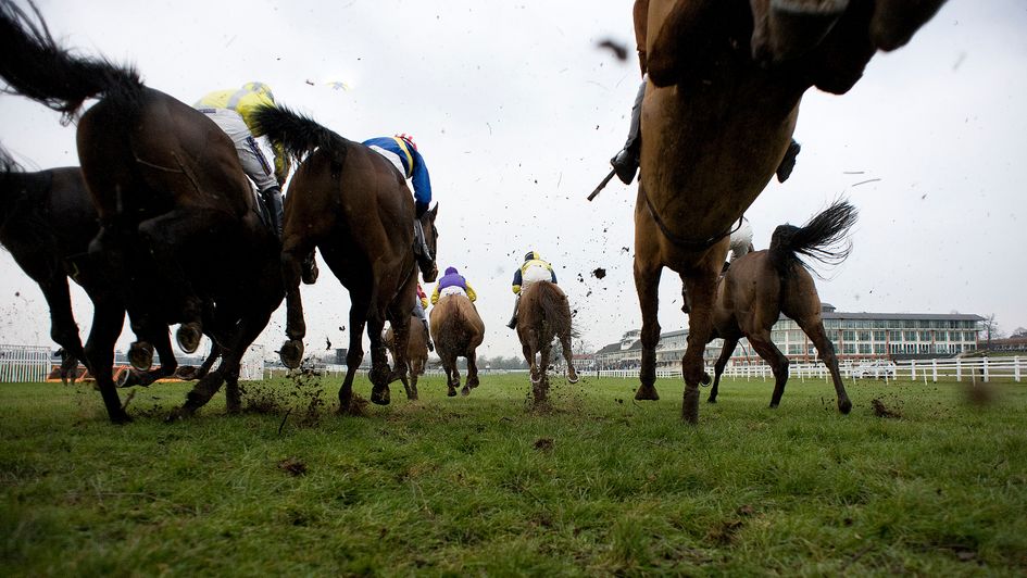 Lingfield are due to race on Friday