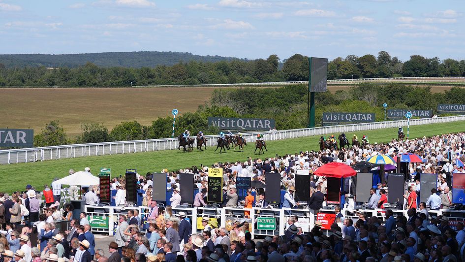 Action from the Qatar Goodwood Festival