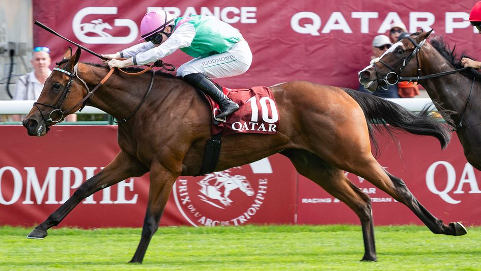 Amusingly is a stunning winner at ParisLongchamp