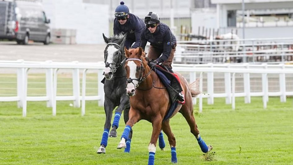 Damysus (right) at Epsom on Tuesday (Photo: John Hoy/The Jockey Club)