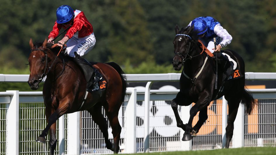 Veracious is in control at Sandown