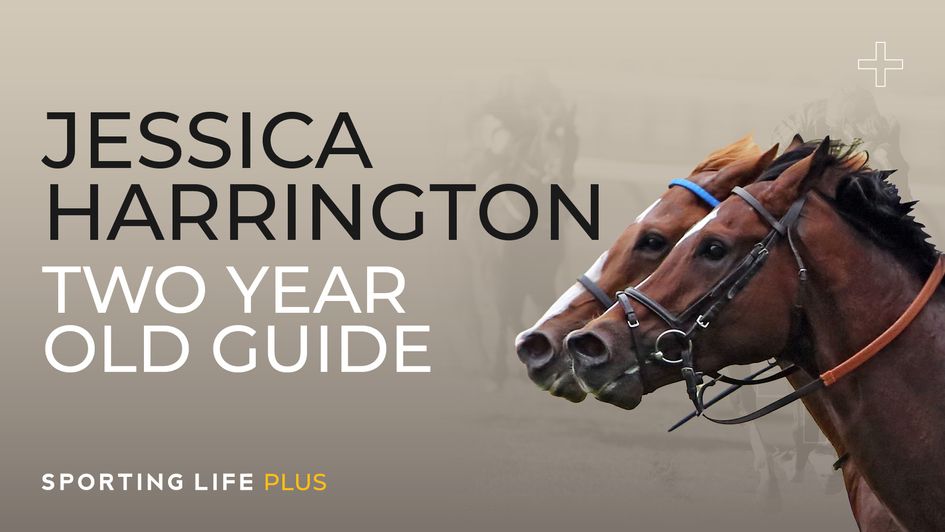 Jessica Harrington Two-Year-Old Guide
