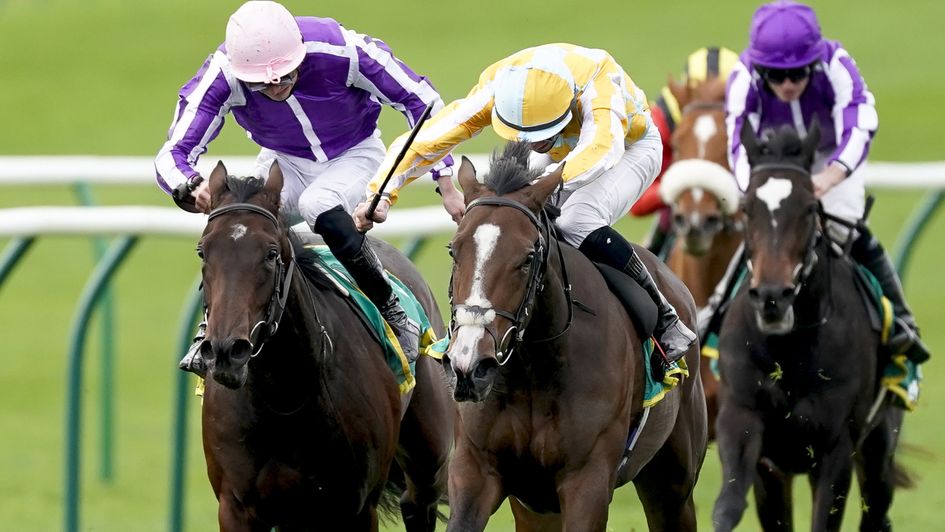 Could Pretty Gorgeous (yellow and white) land the 1000 Guineas?