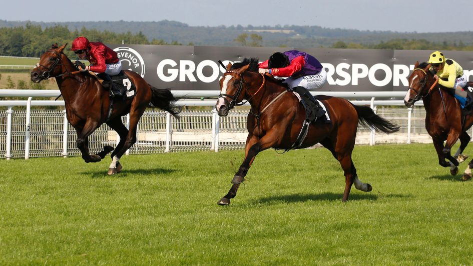 Call To Mind (white face) leads Count Octave (l) and UAE King