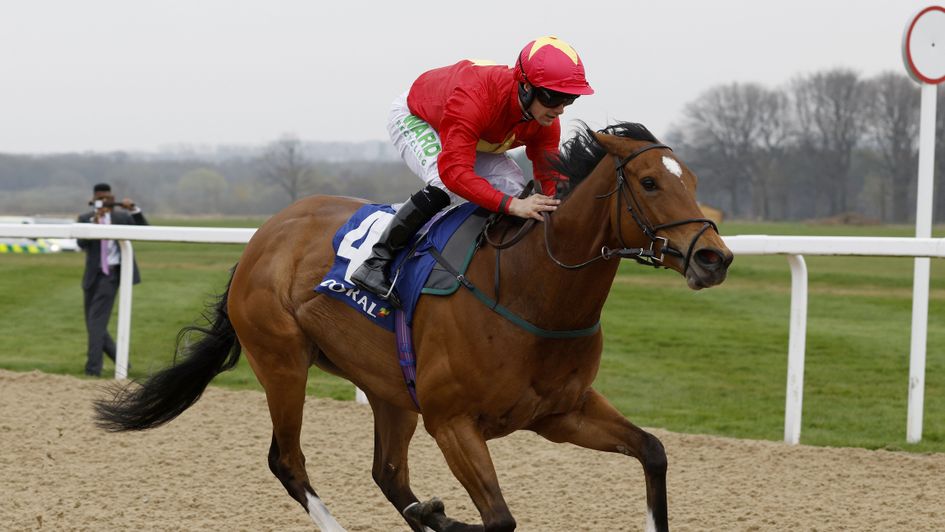 Highfield Princess claims another big prize