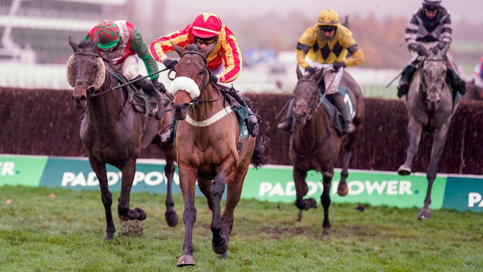 Coole Cody wins the Paddy Power Gold Cup