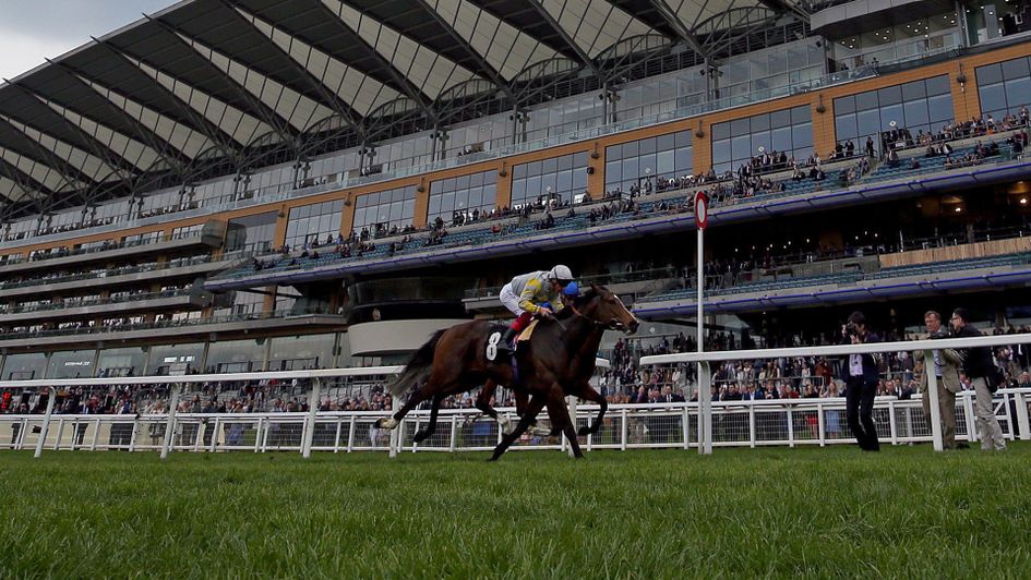 Zaaki gets the better of Barney Roy at Ascot