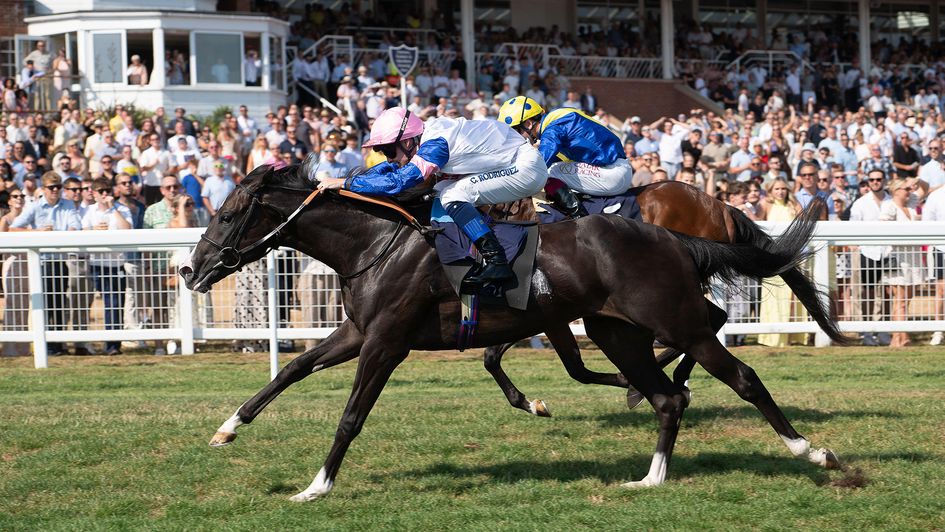 Newbury runner-up Quicken Away (far side) might be the one to take from the race