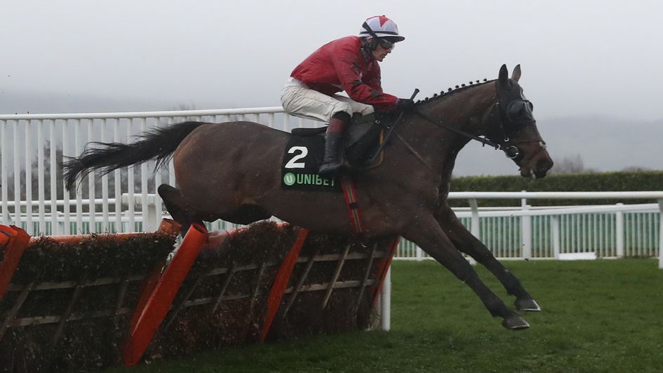 The New One in action for the final time at Cheltenham