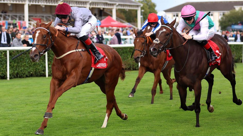 Aylin wins the May Hill under David Egan
