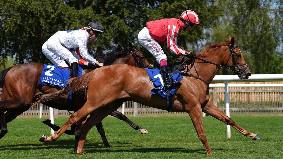 Senorita Bonita wins at Newmarket