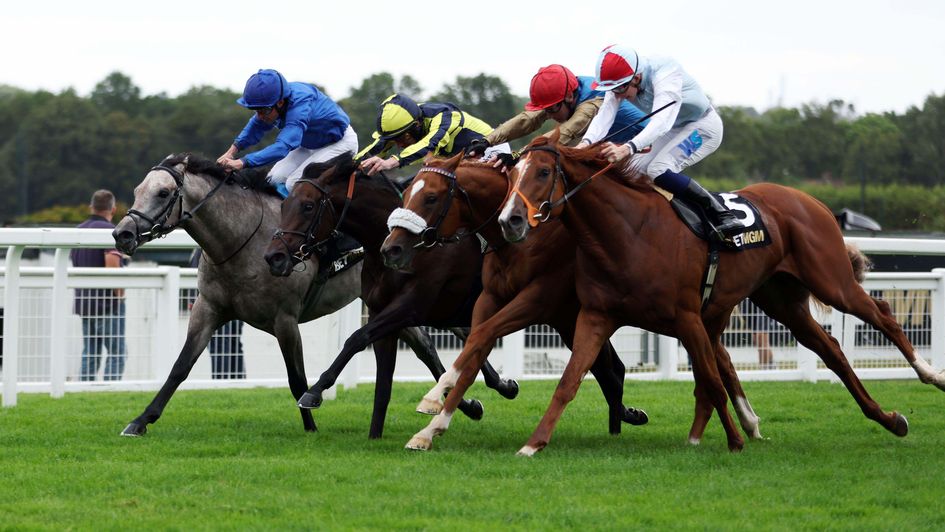 A Bit Of Spirit (yellow and blue silks) edges a thrilling Solario