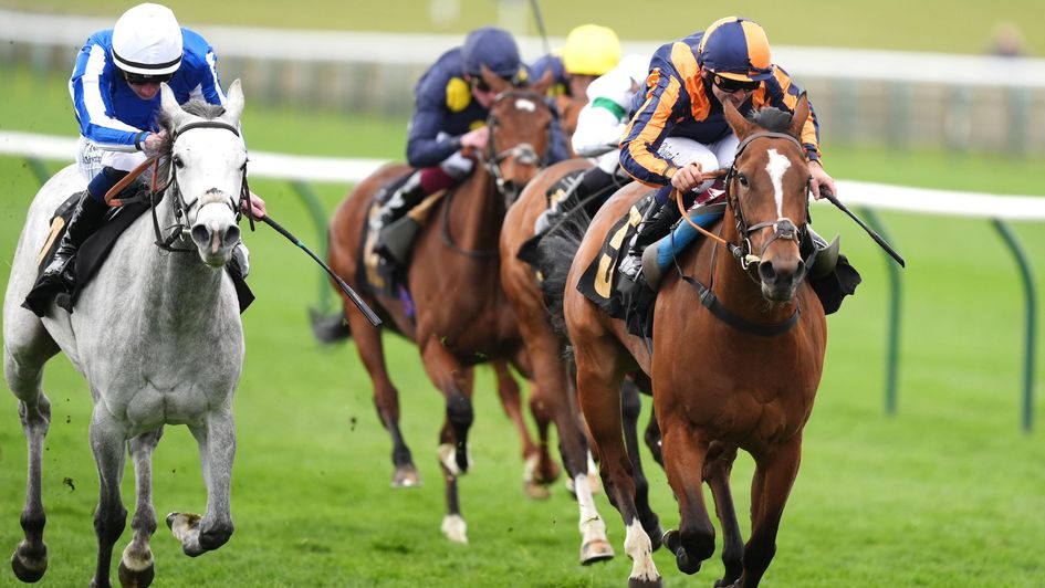 Azleet masters America Queen to spring a 50/1 Nell Gwyn surprise