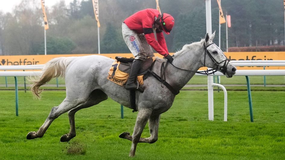 It's Grey Dawning's year in the Betfair Chase